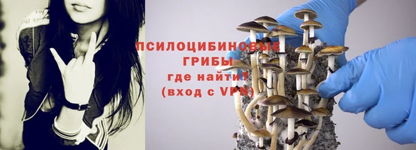 спиды Арсеньев