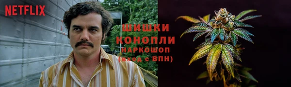эйфоретик Аркадак