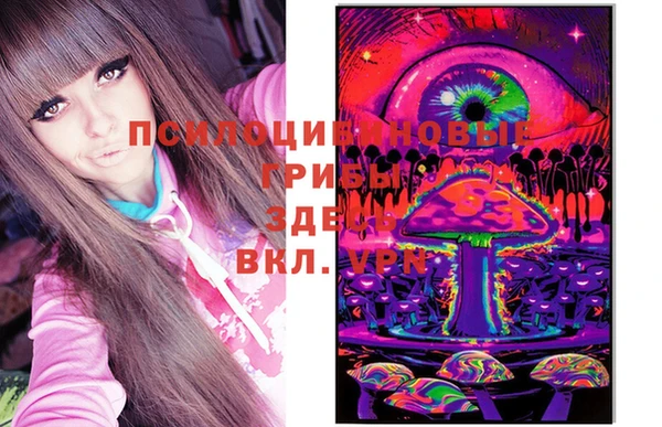 спиды Арсеньев